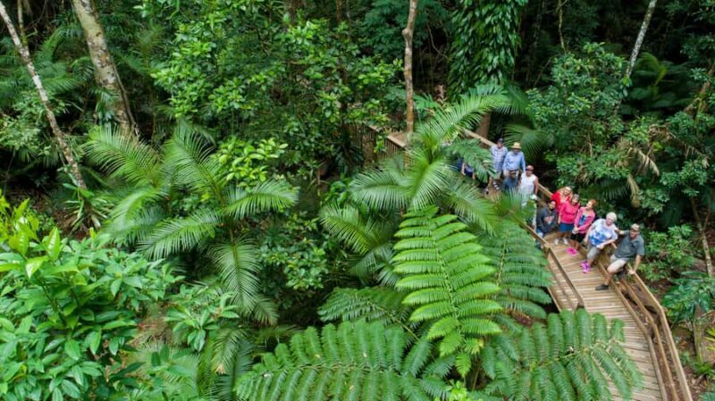 Cairns: 2-Day Great Barrier Reef & Daintree Rainforest Tour - Who This Tour Is Best For