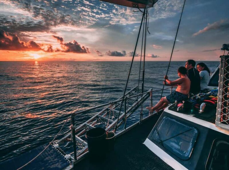 Cairns: 2-Day Great Barrier Reef Dive and Snorkel Boat Trip - An In-Depth Look at the Tour