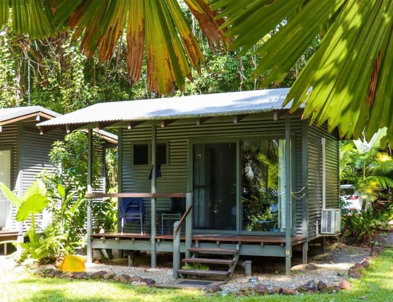 Cairns : 2 Days Daintree & Reef Experience - Key Points