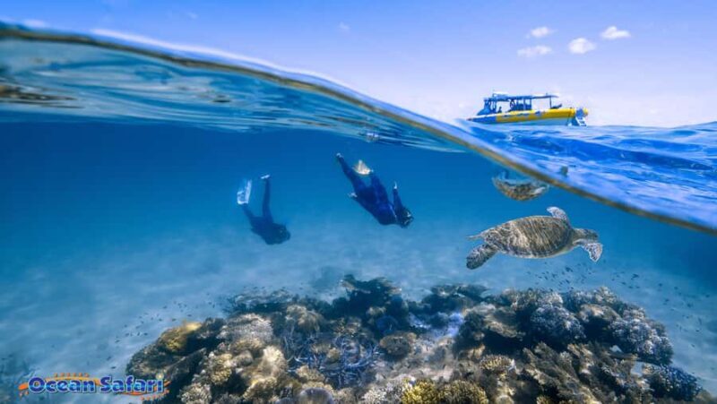 Cairns : 2 Days Daintree & Reef Experience - Starting Point: Mossman Gorge and Indigenous Culture