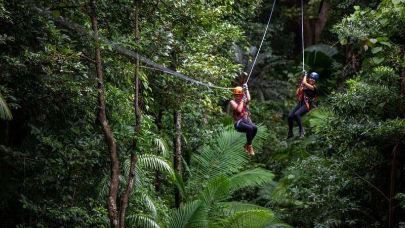 Cairns : 2 Days Daintree & Reef Experience - Overnight in Cape Tribulation
