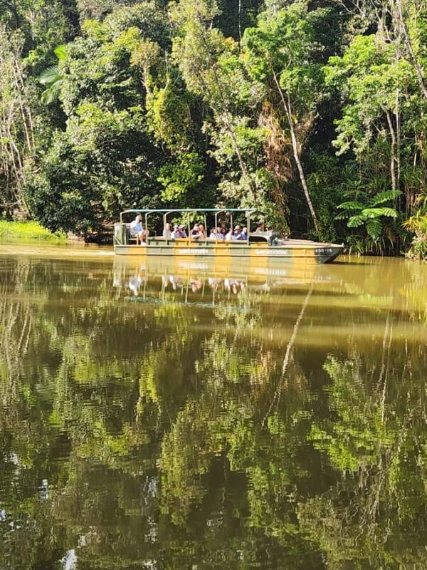 Cairns: 3 days - Daintree, Kuranda, Reef, Accommodation - Second Day: Scenic Journeys and Wildlife Encounters in Kuranda