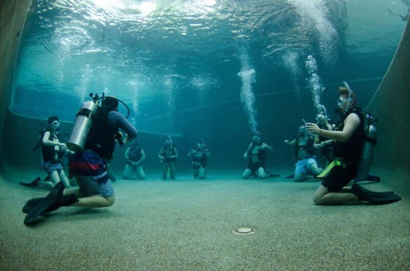 Cairns: 4-Day PADI Open Water Course - Why Choose the Cairns 4-Day PADI Open Water Course?