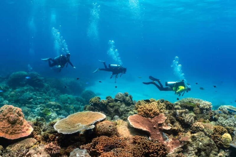 Cairns: 4-Day PADI Open Water Course - Practical Details and Considerations