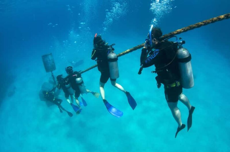 Cairns: 4-Day PADI Open Water Course - Final Word