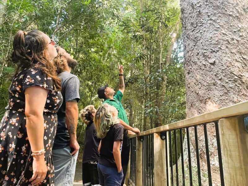 Cairns: Aboriginal Cultural Discovery Tour - FAQs
