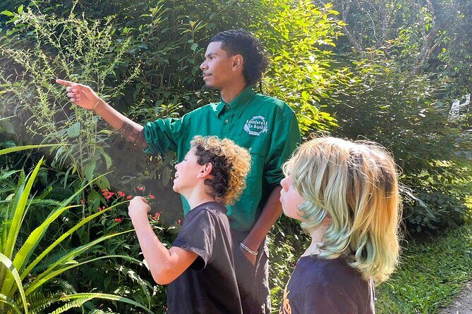 Cairns: Aboriginal Cultural Tour Atherton Tablelands - The Itinerary: A Journey through Indigenous Land and Scenic Marvels