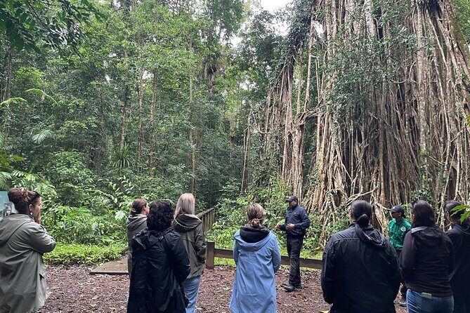Cairns: Aboriginal Cultural Tour Atherton Tablelands - Authentic Experiences and Personal Touches