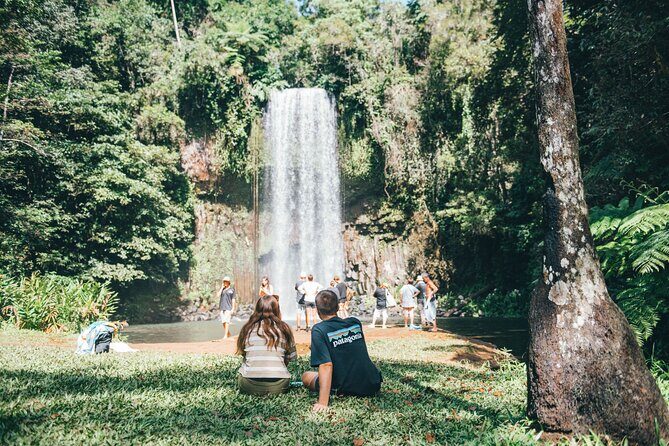Cairns Adventure Package- 4 tours in 3 days! - An In-Depth Look at the Cairns Adventure Package