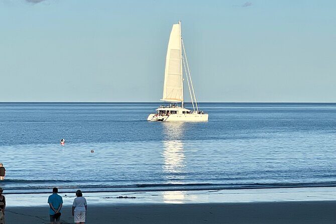 Cairns Airport to Port Douglas Shared Shuttle - Key Points