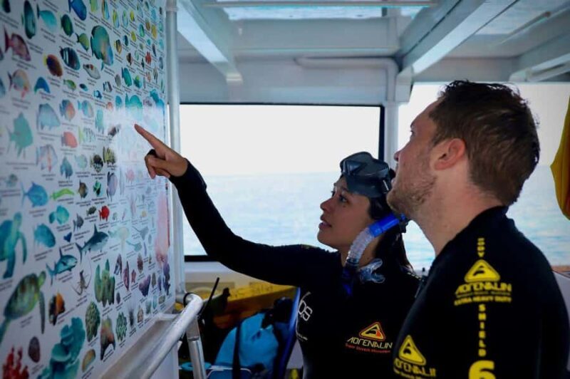 Cairns: All-Inclusive Great Barrier Reef Half-Day Snorkeling - An In-Depth Look at the Experience
