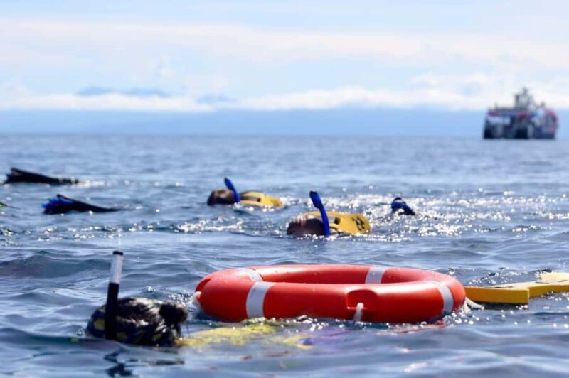 Cairns: All-Inclusive Great Barrier Reef Half-Day Snorkeling - FAQ