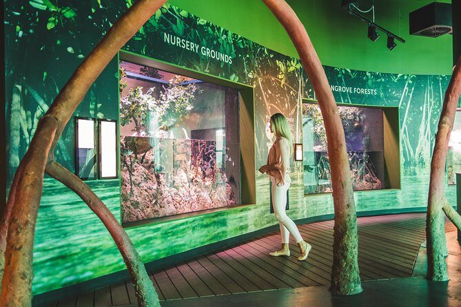 Cairns Aquarium Admission Ticket - Exploring the Cairns Aquarium: What to Expect