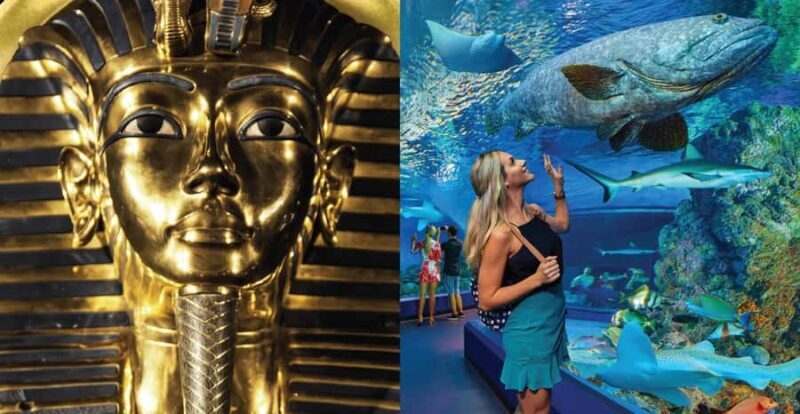 Cairns: Aquarium and Tomb of the Pharaohs Entry Ticket - Who Should Consider This Experience?