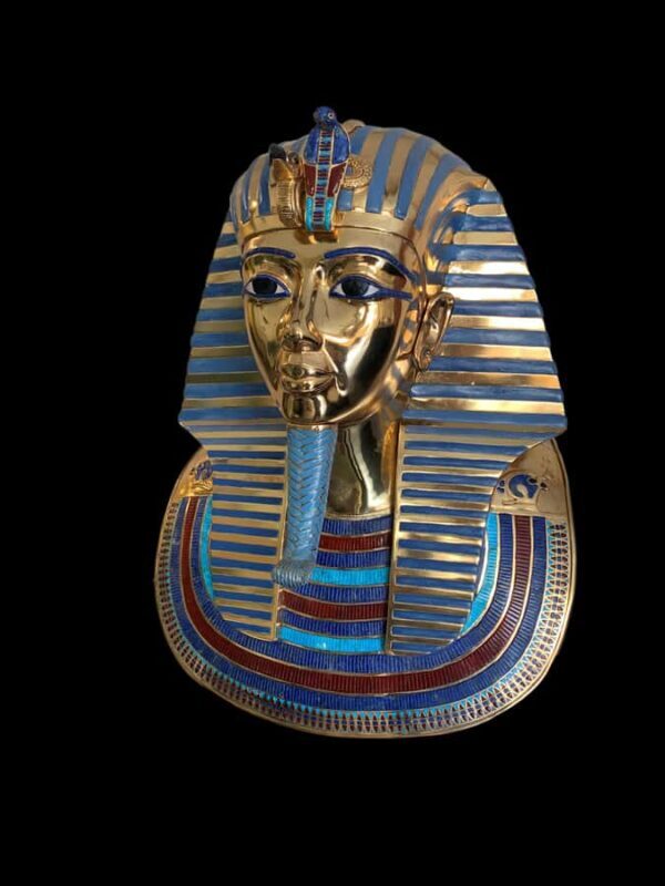 Cairns: Aquarium and Tomb of the Pharaohs Entry Ticket - The Sum Up: Is It Worth It?