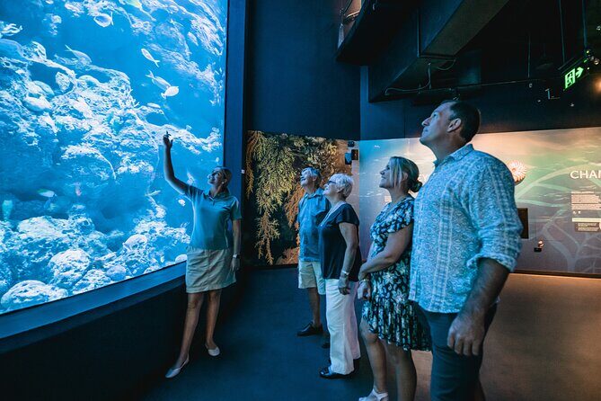Cairns Aquarium by Twilight Tour - Key Points