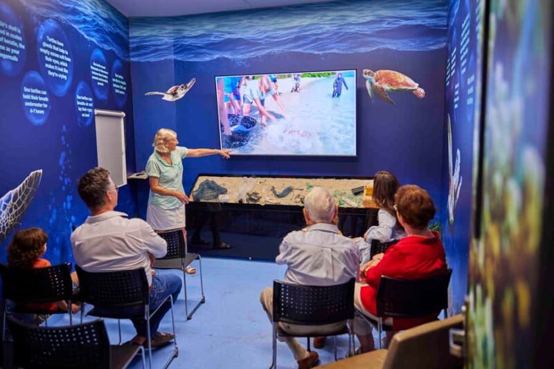 Cairns: Aquarium Entry Ticket and Turtle Rehabilitation Tour - Key Points