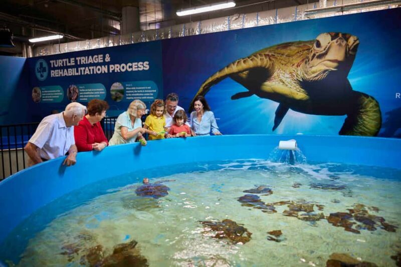 Cairns: Aquarium Entry Ticket and Turtle Rehabilitation Tour - Overview of the Experience