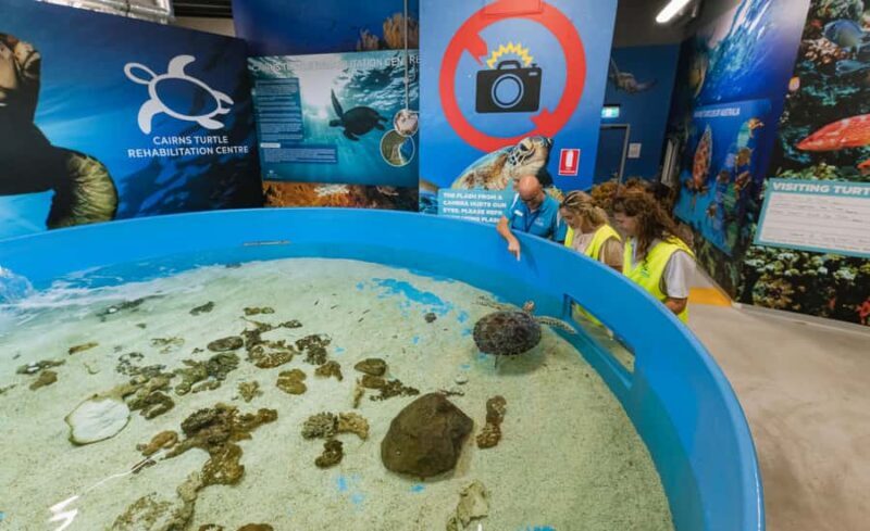 Cairns: Aquarium Entry Ticket and Turtle Rehabilitation Tour - Authentic Experiences and Authenticity