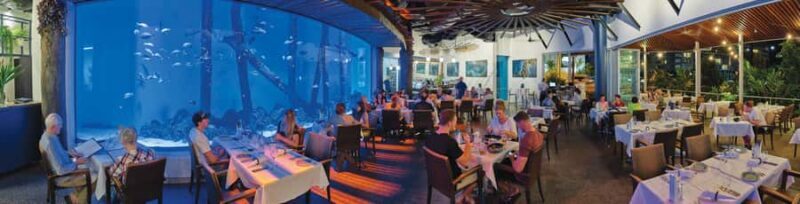 Cairns: Aquarium Guided Twilight Tour with 3-Course Dinner - Final Thoughts