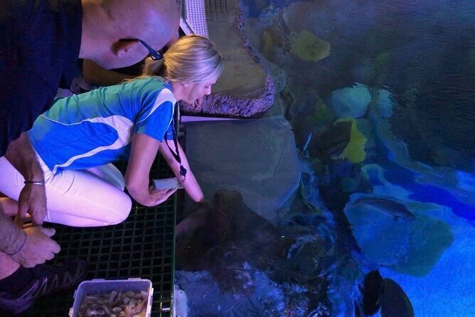 Cairns Aquarium Marine Life Encounter Ticket - An In-Depth Look at the Cairns Aquarium Marine Life Encounter