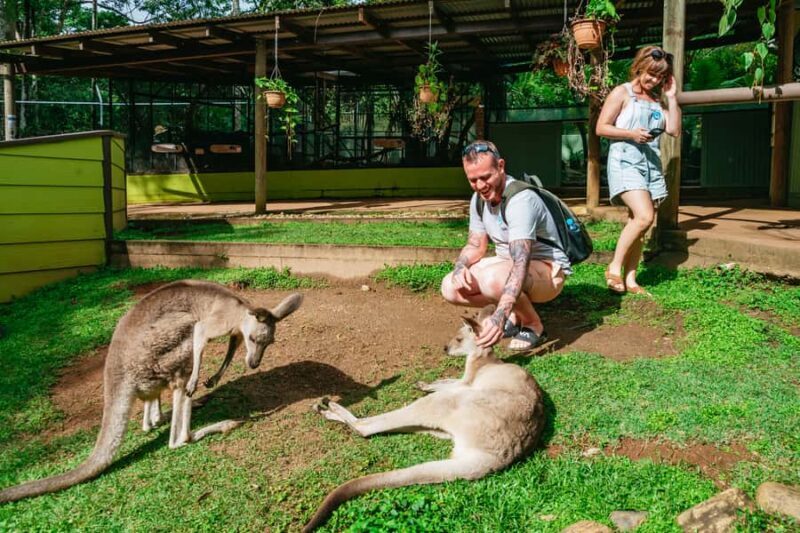 Cairns: Best of the Kuranda Rainforest Full-Day Tour & Lunch - A Complete Day in Kuranda: What to Expect