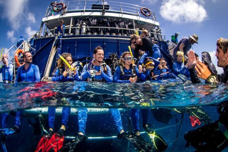 Cairns: Best Value All-inclusive Reef Trip With Scuba Dive - An Honest Look at the Great Barrier Reef from Cairns