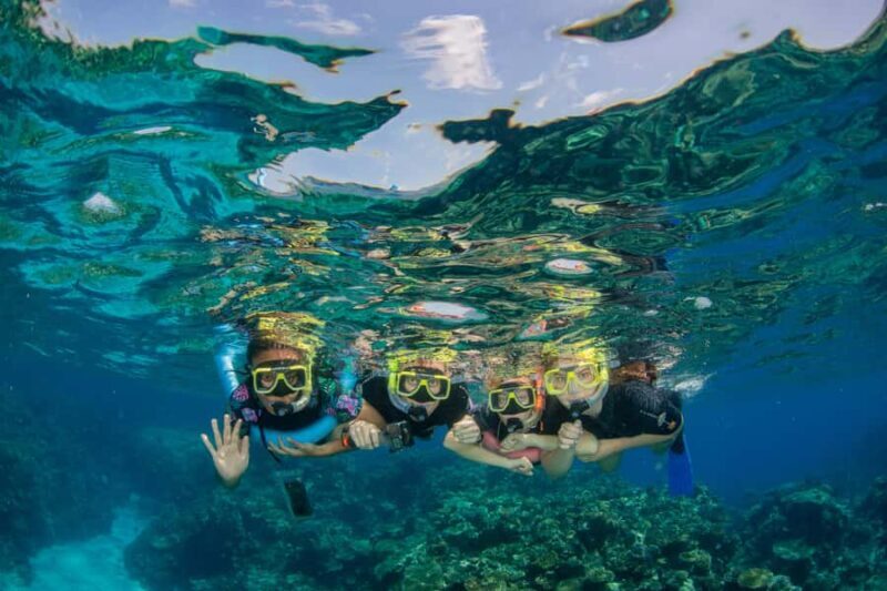 Cairns: Best Value All-inclusive Reef Trip With Scuba Dive - Why This Tour Works for You