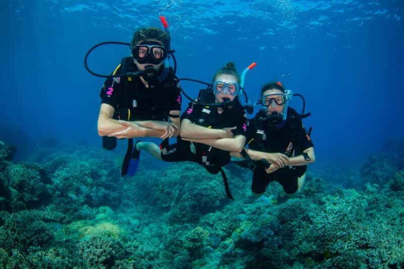 Cairns: Best Value All-inclusive Reef Trip With Scuba Dive - The Sum Up