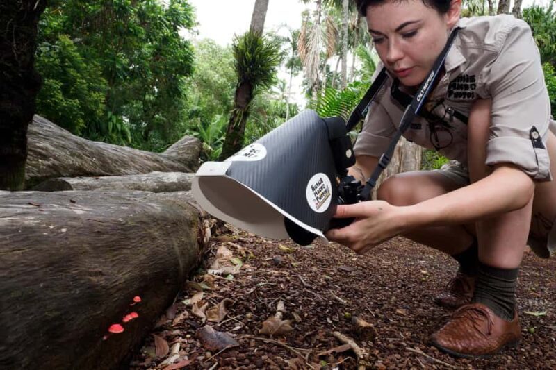 Cairns Botanic Gardens: Mushroom Photography Tour - Final Thoughts: Who Should Consider This Tour?