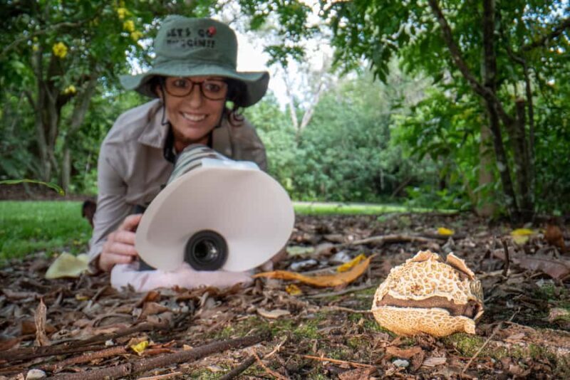 Cairns Botanic Gardens: Mushroom Photography Tour - FAQs