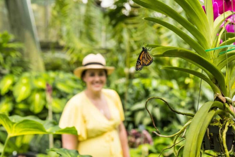 Cairns: Cairns City Sights & Surrounds Half Day Tour - Who Will Benefit Most?