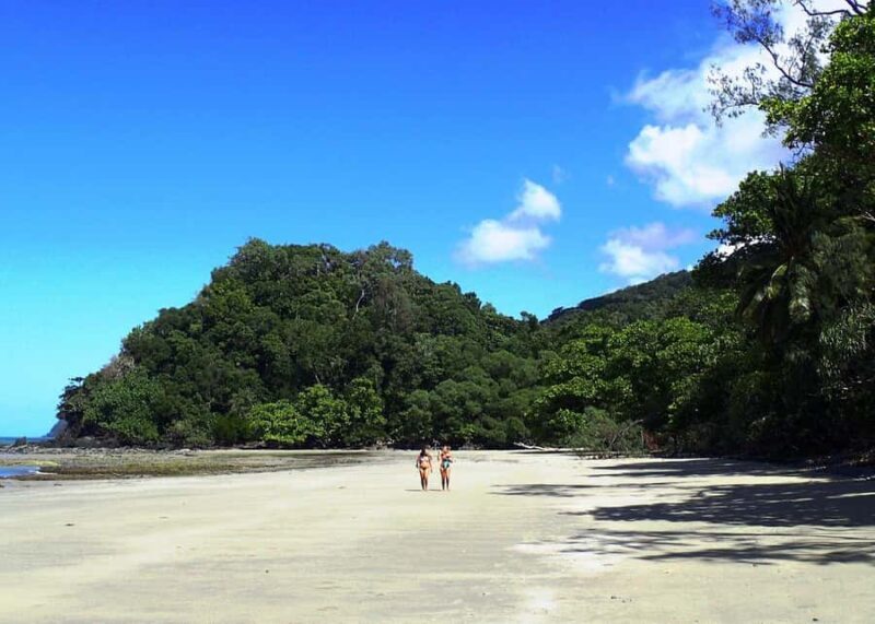 Cairns: Cape Tribulation, Beaches, Crocs & Swimming Day Tour - Authentic Experiences and Honest Reflections