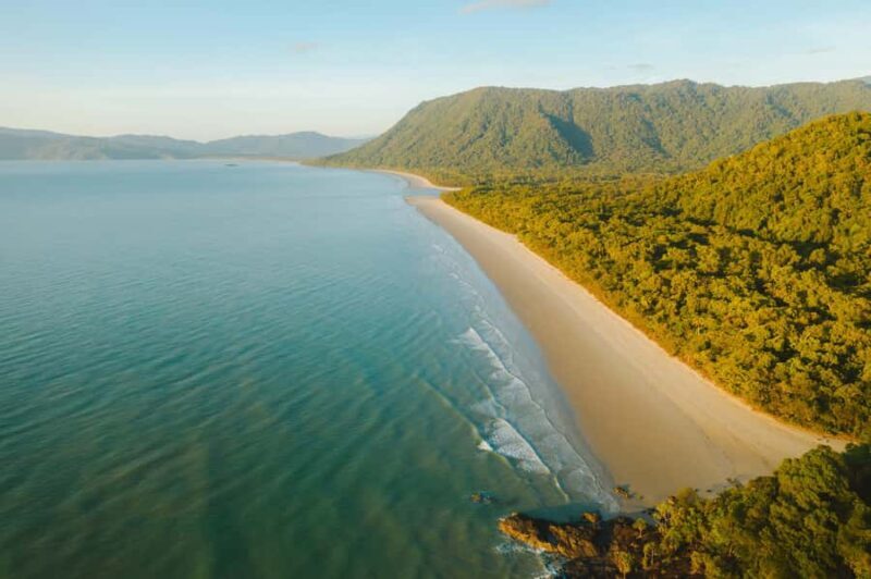 Cairns: Cape Tribulation, Mossman Gorge & Daintree Day Tour - A Deep Dive into the Experience