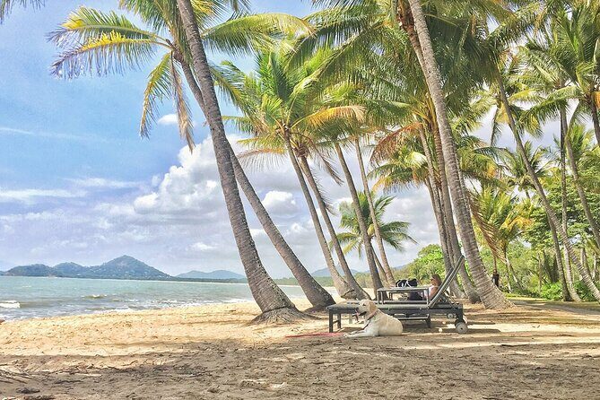Cairns City Half Day Tour - A Practical Overview of the Cairns City Half Day Tour