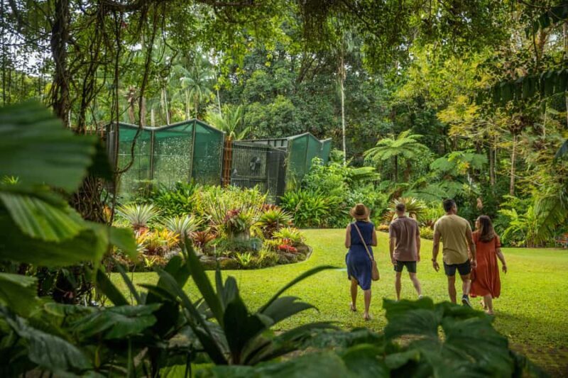 Cairns: City Sights Tour with Evening Dinner Cruise - A Day in Cairns: What You Can Expect