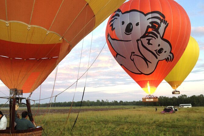 Cairns Classic Hot Air Balloon Ochre - Introducing the Cairns Classic Hot Air Balloon Ochre Experience