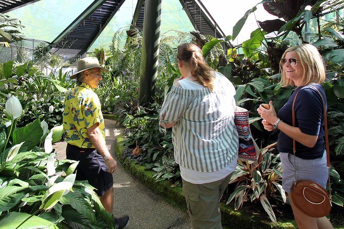Cairns Combo: Cairns River Cruise & Small group Cairns City Sights - FAQ
