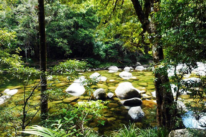 Cairns Daintree Rainforest and Cape Tribulation 2-Day Tour - Exploring the Cairns Daintree Rainforest and Cape Tribulation 2-Day Tour