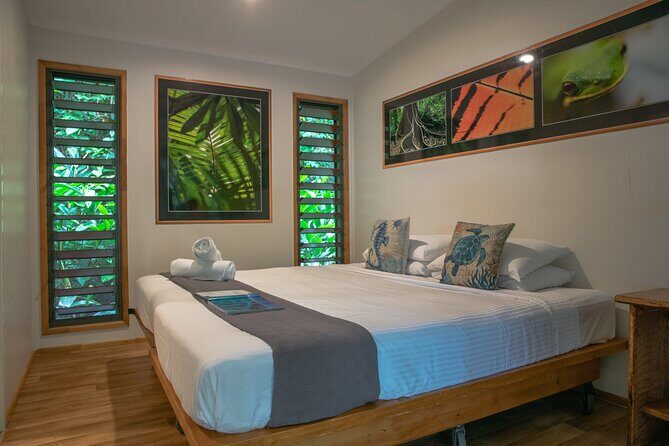 Cairns Daintree Rainforest and Cape Tribulation 2-Day Tour - Why This Tour Offers Value