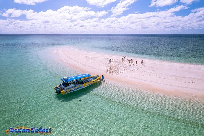 Cairns Daintree Rainforest and Cape Tribulation 2-Day Tour - Critical Considerations