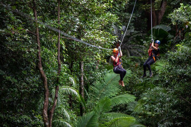 Cairns Daintree Rainforest and Cape Tribulation 2-Day Tour - Who Should Consider This Tour?
