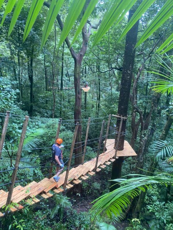 Cairns: Daintree Rainforest Canopy Ziplining Tour - FAQ