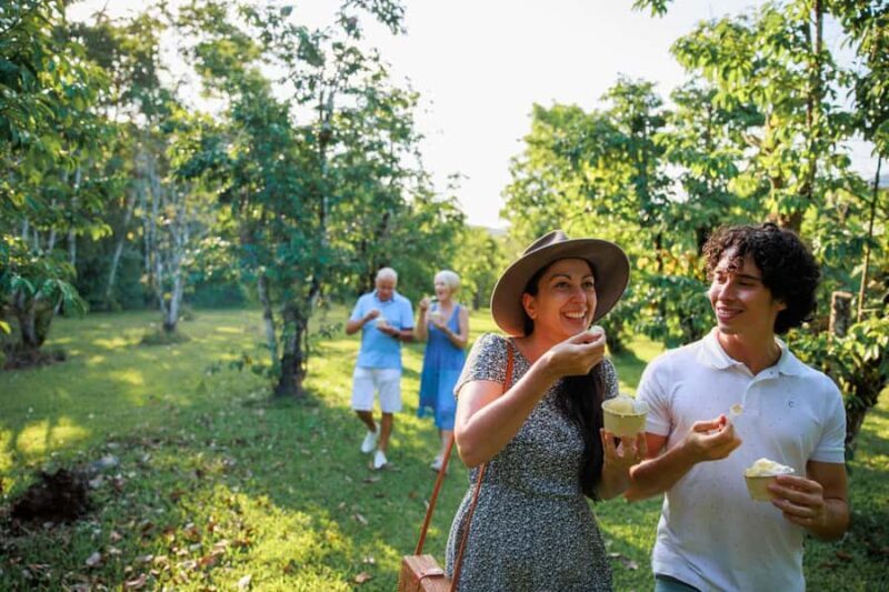 Cairns: Daintree Rainforest & Cape Tribulation Day Trip - Who Will Love This Tour?