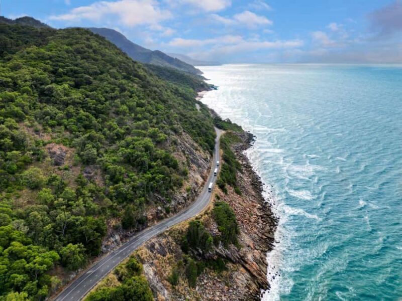 Cairns: Daintree Rainforest & Cape Tribulation Day Trip - Who Should Book This Tour?