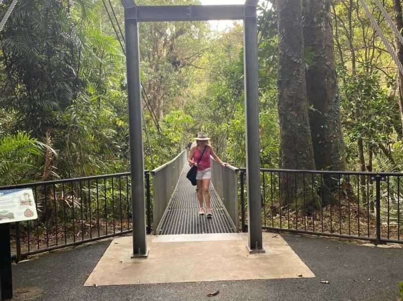 Cairns: Daintree River Cruise and Mossman Gorge - Who is This Tour Best For?