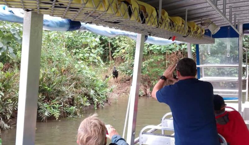 Cairns: Daintree River Cruise and Mossman Gorge - The Sum Up