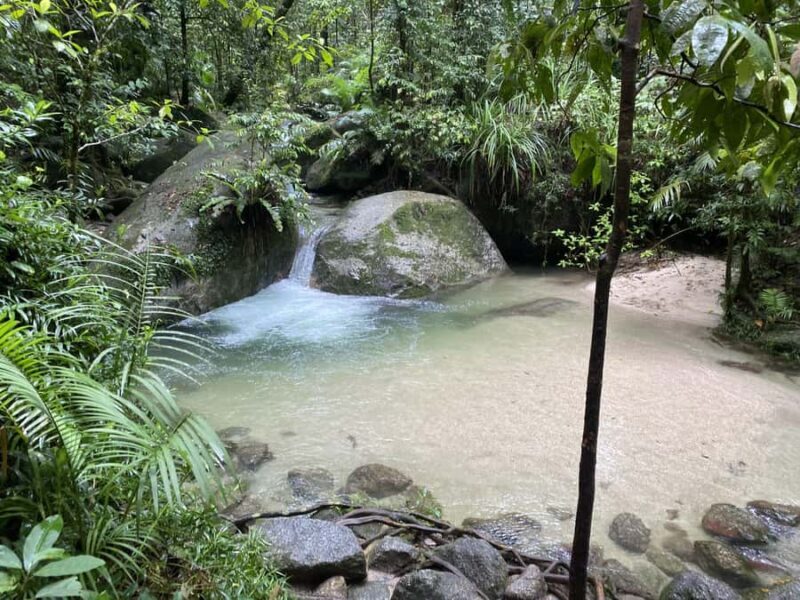Cairns: Daintree River Cruise and Mossman Gorge - FAQ