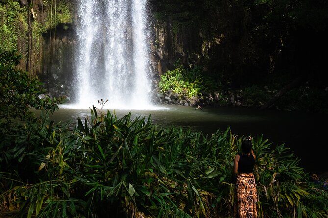 Cairns Day Tour Private Waterfall - An In-Depth Look at the Tour Experience
