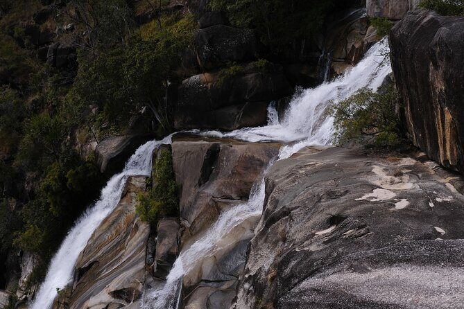 Cairns Day Tour Private Waterfall - Summary: The Value of a Private Waterfall Day in Cairns